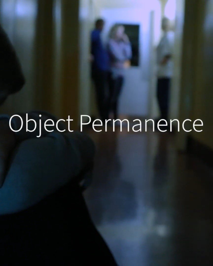 Object Permanence